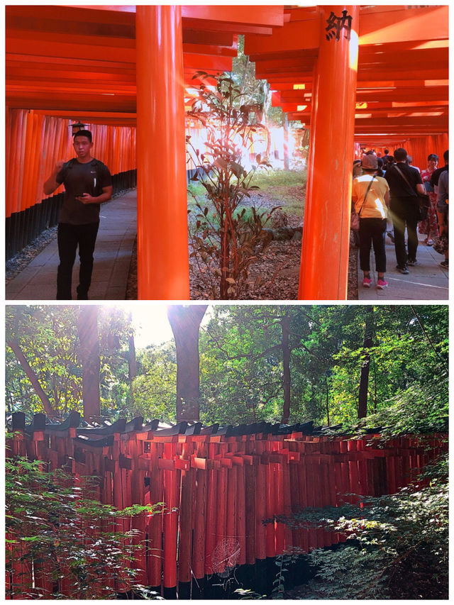 【京都/伏見】朱色鳥居が見どころ‼︎京都の人気観光スポット＊伏見稲荷大社＊