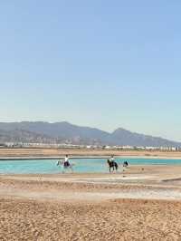 🇪🇬에메랄드 해변따라 말타며 석양까지! 라구나비치🐎🌅