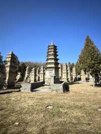 My Luoyang Adventure: 3 Days of History & Spirituality