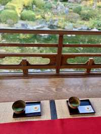 福岡｜在茶室和庭园中度过的时间🍵 ​​​