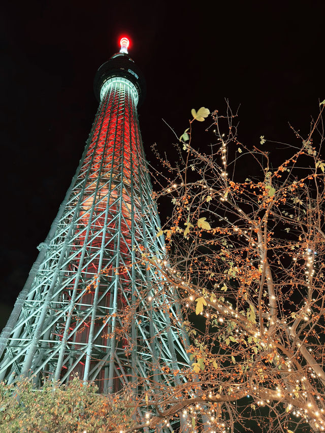 東京晴空街道的難忘時光 🌟