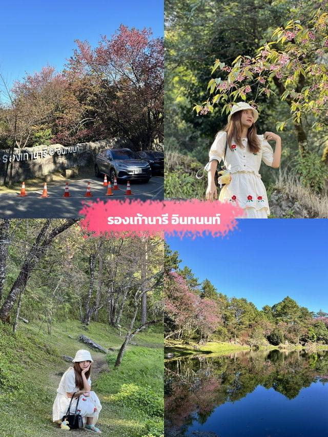 ✨ห้ามพลาด ที่เที่ยวธรรมชาติเชียงใหม่✅