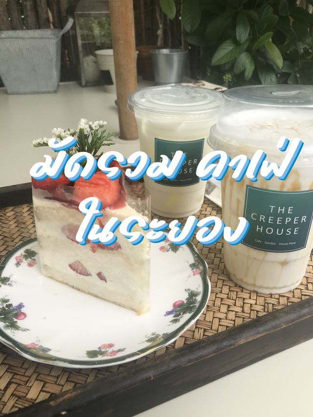 มัดรวมคาเฟ่ ในระยอง
