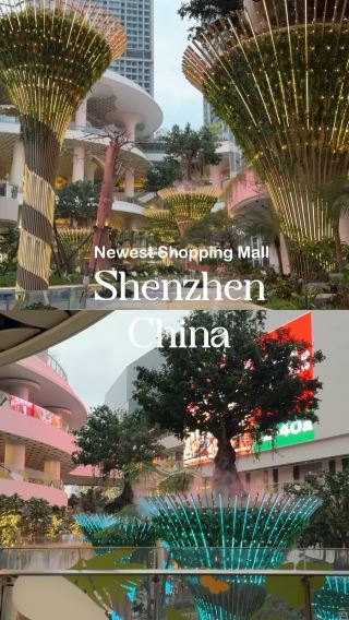 Shenzhen Newest Mall Bantian Vanke Plaza