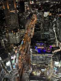 俯瞰東京的雙重魅力：新宿都廳與澀谷SKY的觀景台之旅 🌇✨