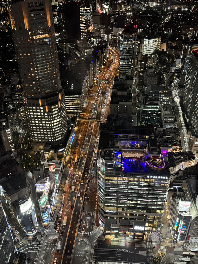 俯瞰東京的雙重魅力：新宿都廳與澀谷SKY的觀景台之旅 🌇✨