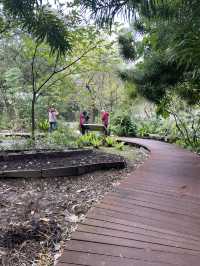 Stroll at Taipei Botanical Garden: A Refreshing Escape 🌸🌿 