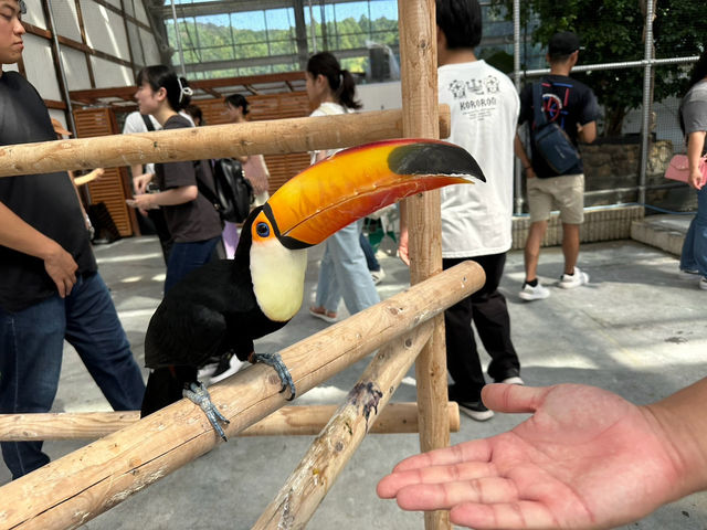【掛川花鳥園】
