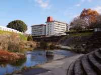 Yamazaki River Four Seasons Road (山崎川四季の道)