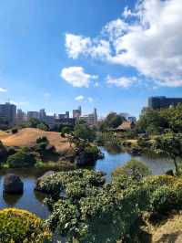 熊本水前寺成趣園昂、出水神社，寧靜美，還有喝了會長壽的水！！