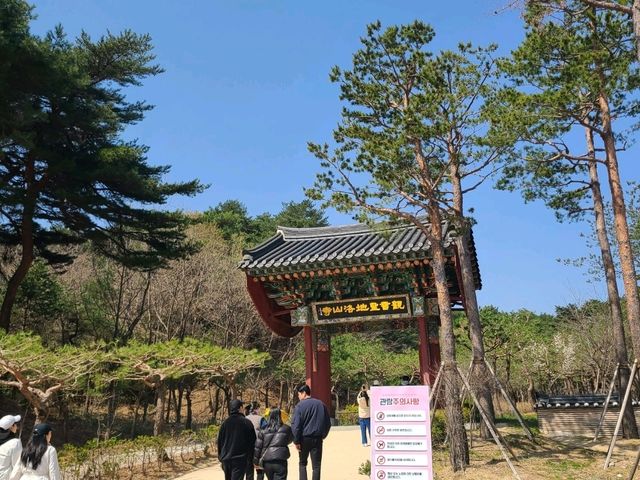 양양 낙산사