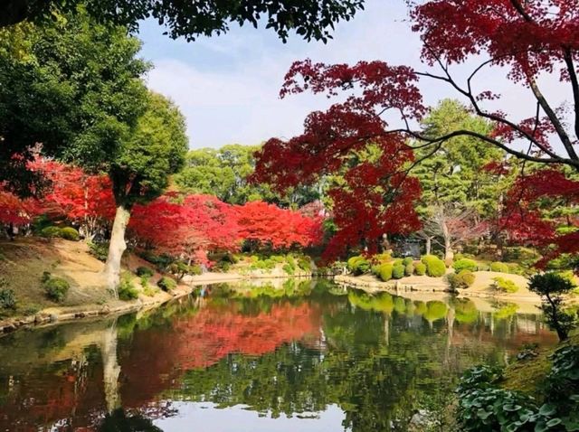 濃縮廣島四季美景，楓紅如畫的縮景園