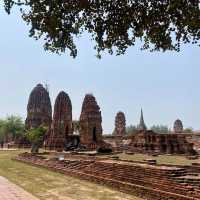 Wat Mahathat: A Sacred Historical Treasure