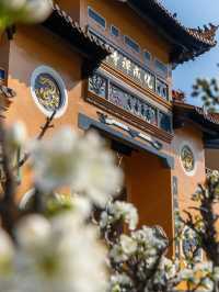 Plum blossoms at Jintang Liziyuan