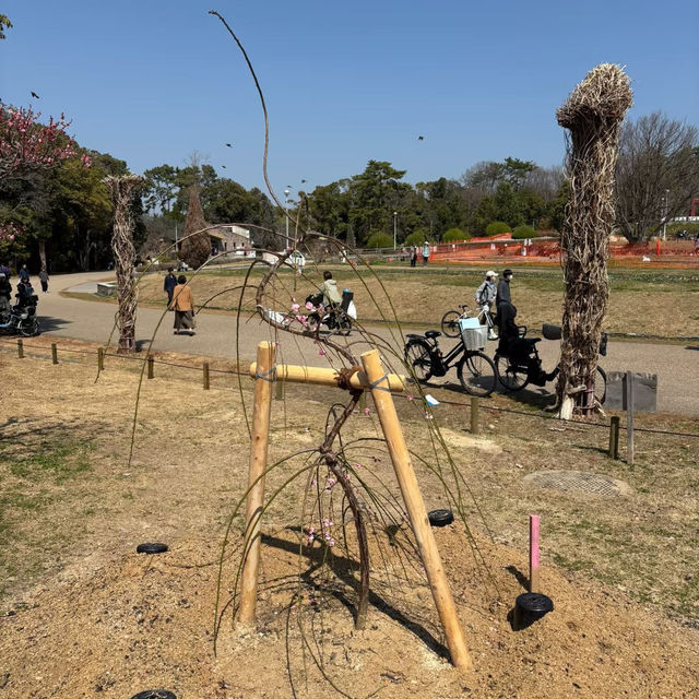 ～水元公園～城市綠意～  