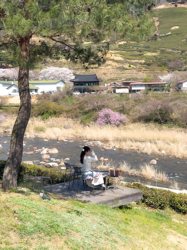 🌸벚꽃시즌🌸하동 벚꽃놀이 코스이대로💗