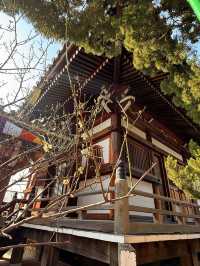 防府｜聖武天王開基的周防國分寺 1200年守護疾病與災禍