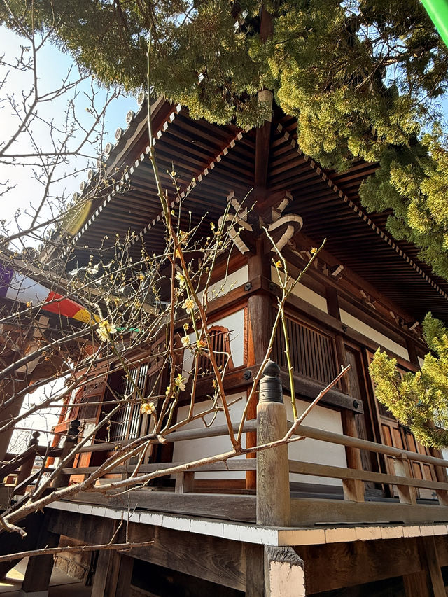 防府｜聖武天王開基的周防國分寺 1200年守護疾病與災禍