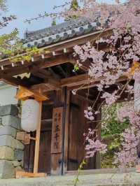 ⛩️ 京都を愛さない人なんていない！👍 完全ガイド付きルート！