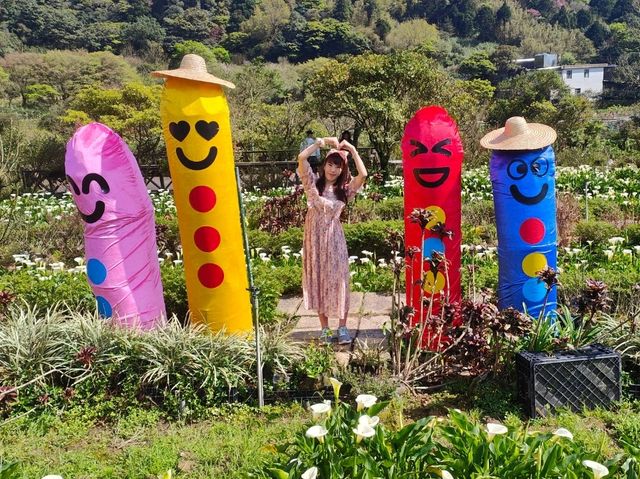 遠離塵囂忘憂好去處：陽明山苗榜海芋花園野菜餐廳🌿
