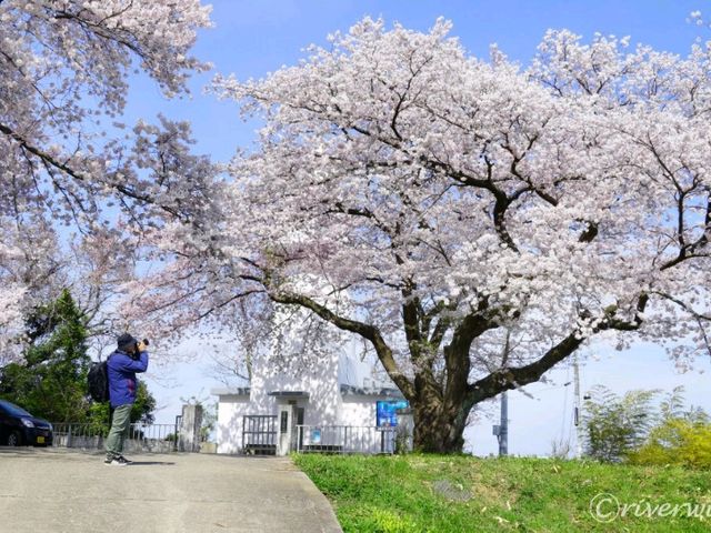 【富山県】富山湾を一望できる穴場の灯台「岩崎ノ鼻灯台」