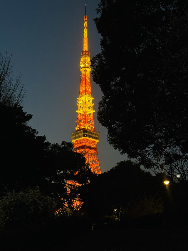Tokyo Tower 🗼 