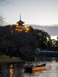 三溪園のライトアップ ✨🌙 幻想的な和の夜景を楽しむ