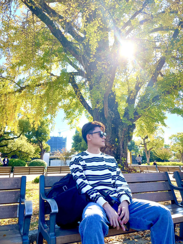 Japan: A Journey to Remember