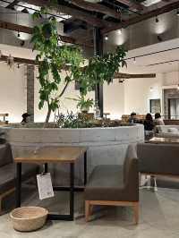 【名古屋観光】˗ˏˋお洒落に過ごす夜カフェならここっ🌿ˎˊ˗