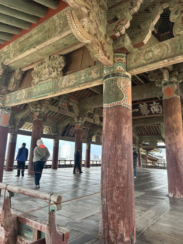 🏯 밀양의 대표 명소, 영남루에 방문하다! 🏯