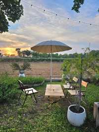 คาเฟ่  ไวแคนตัส นนทบุรี
