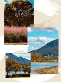 Misagyeongjeong in Bloom: Spring Colors by the Lakeside Promenade