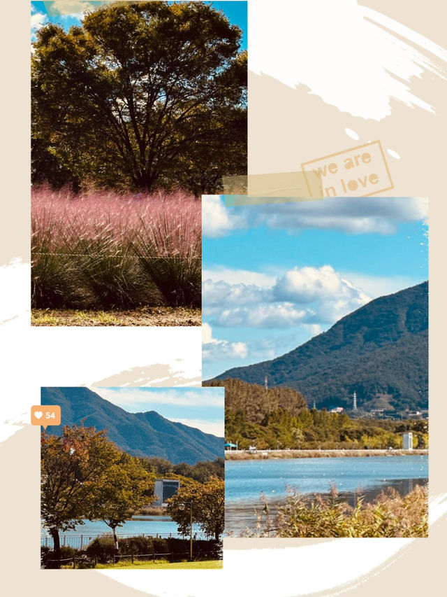 Misagyeongjeong in Bloom: Spring Colors by the Lakeside Promenade