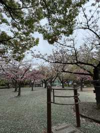 東京景點｜行船公園