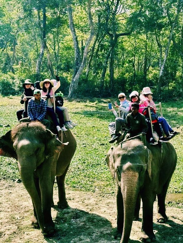 尼泊爾奇特旺國家公園旅遊攻略，適合打卡拍照📸