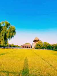 中國北京故宮博物院旅行攻略，適合打卡拍照📸