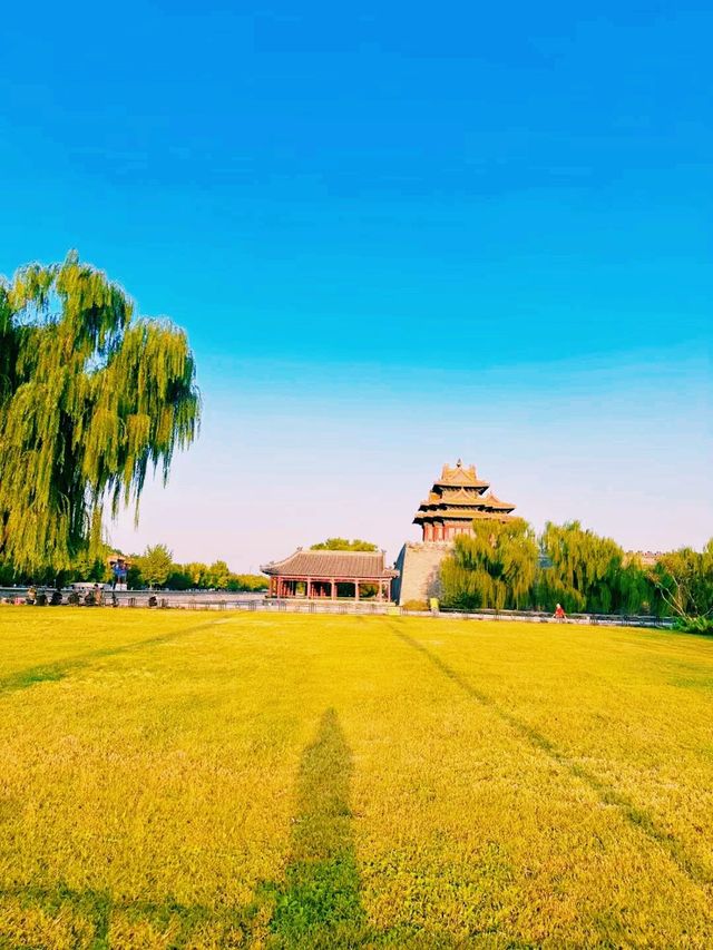 中國北京故宮博物院旅行攻略，適合打卡拍照📸