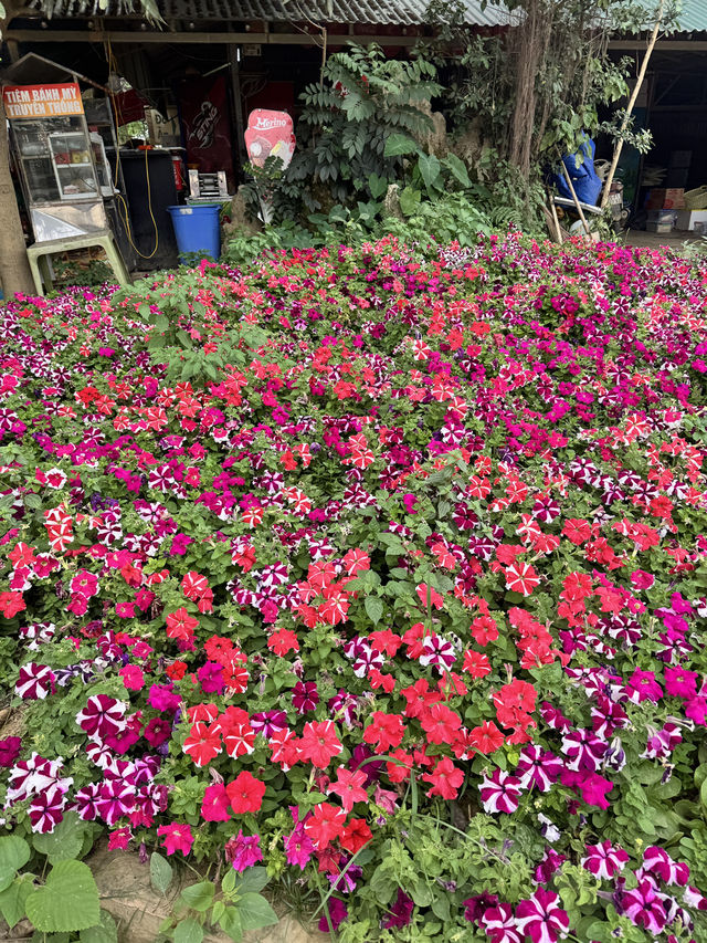 Hustle to Harmony: A Whirlwind Escape to Hanoi