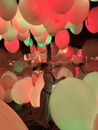 福岡🇯🇵 TeamLab Forest沈浸式光影體驗🎨