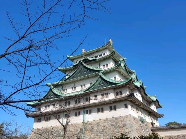 名古屋市區一日遊行程，古蹟與現代交織的城市漫步。