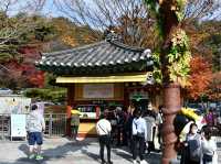 【🍁山寺の絶景】龍門寺の紅葉が幻想的！