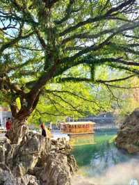Dailong Bridge: Capturing Timeless Elegance