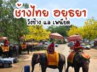 นั่งหลังช้าง ชมเมืองอยุธยา วิถีชุมชน