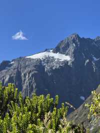 Majestic Mountains: Uncover the Wonder of Milford Sound