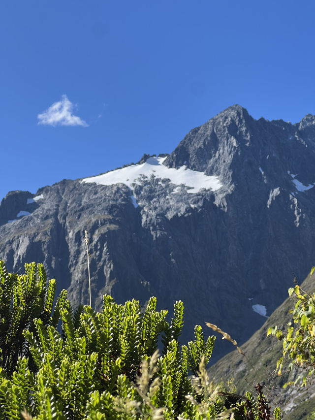 Majestic Mountains: Uncover the Wonder of Milford Sound