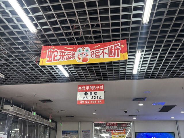 간도의 땅 그리고 예전 고구려, 발해 땅인 연길로 떠나보세요