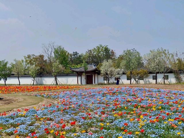 Hàoyuán Garden (滈园) – A Hidden Spring Gem in Shanghai 🌸⛩️🌿