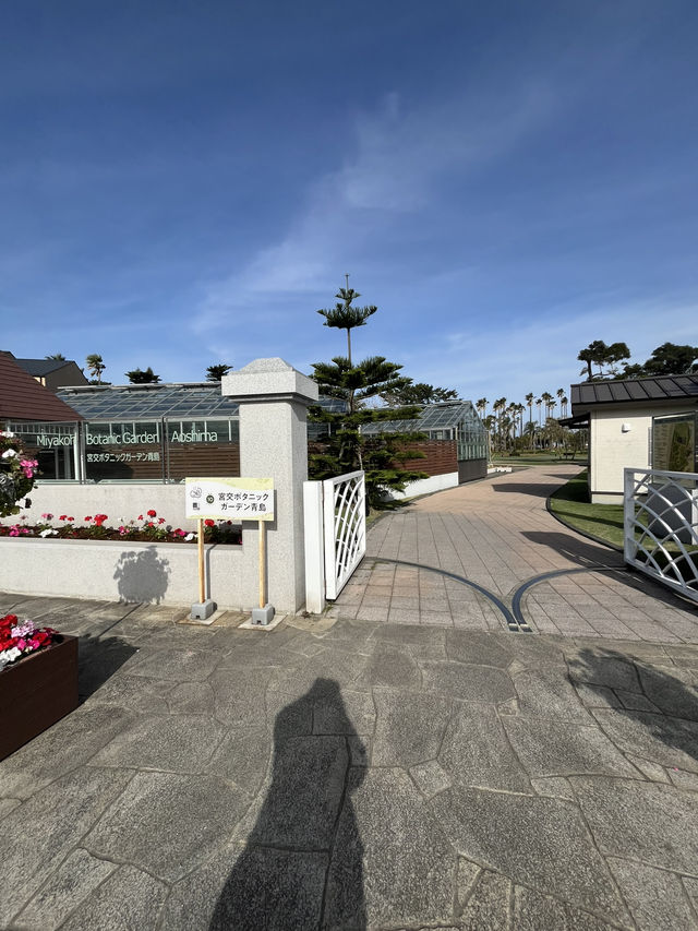 【宮崎】宮交ボタニックガーデン青島：南国ムード満点の無料植物園で癒しのひととき