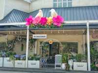 Netherlands Flower town / Dutch Flower town