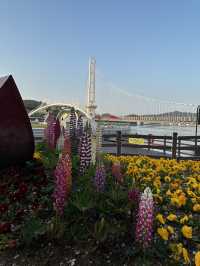 Yesan Park to visit